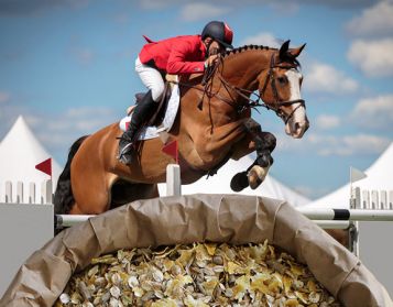 AVENA SUPERFIOCC - 25kg