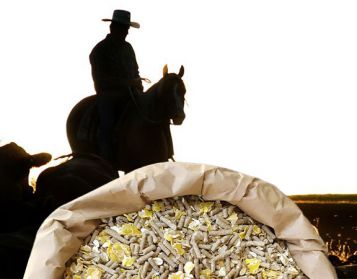 BARREL ENERGY FIOCC - 25kg