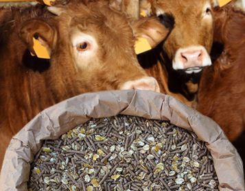 RUMEN FIOCC NO OGM - 25kg