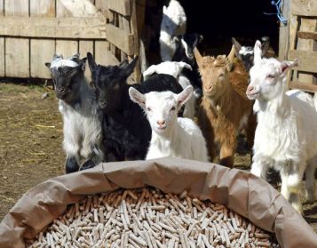 CAPRETTI NO OGM - 25kg