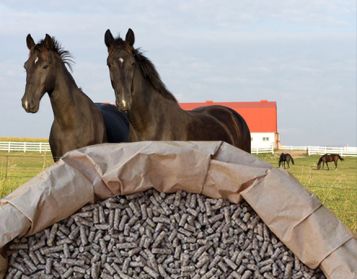 HORSE PROTEIN 30 - 25kg