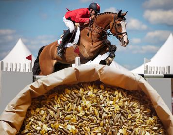 CAVALLI SPORTIVI NO OGM - 25kg