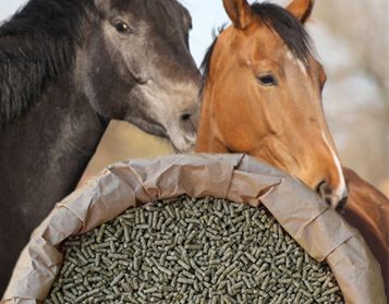 CAVALLI C3 NO OGM - 25kg