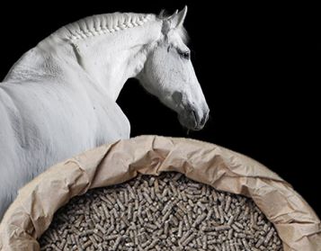 CAVALLI FIBRA - 25kg