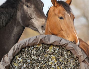 CAVALLI TOP FIOCC NO OGM - 25kg