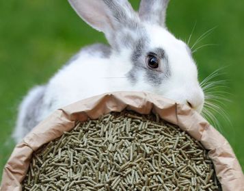 CUNILBIO V PLUS - 25kg