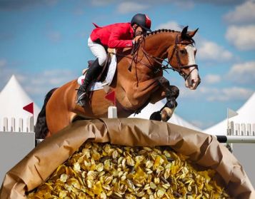 ENDURANCE H.P. - 20kg