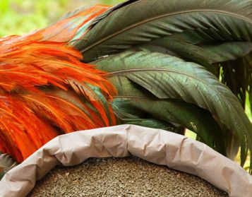 FAGIANI NO OGM - 25kg