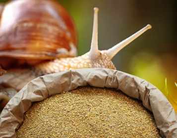 LUMACHE NO OGM - 25kg