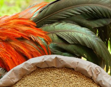 QUAGLIE E STARNE NO OGM - 25kg