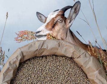 TOP WEANING V PLUS - 25kg