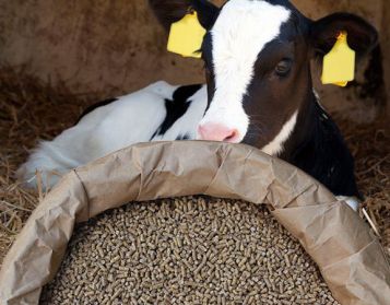 TOP WEANING V PLUS - 25kg