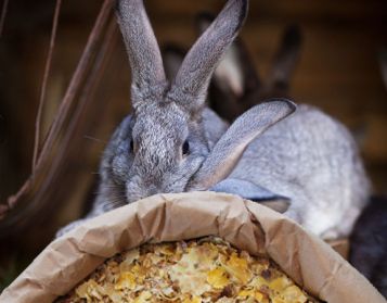 TUTTOFIOCC CONIGLI 27 - 25kg