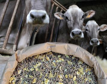 VACCHE LATTAZIONE FIOCC NO OGM - 25kg