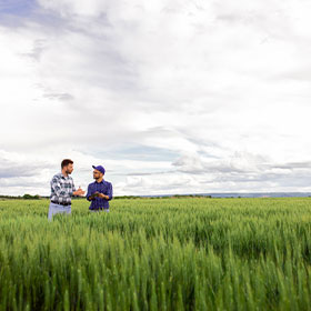 mangimi con filiera diretta